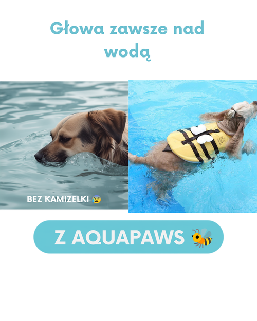 Porównanie: pies bez kamizelki z głową przy wodzie vs pies w kamizelce AquaPaws z głową nad wodą